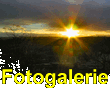 Photogalery